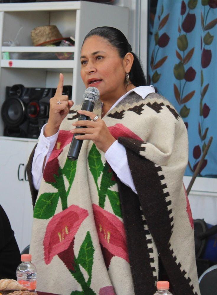 Ana Lilia Rivera respalda estrategia de seguridad de Sheinbaum y rechaza señalamientos de EE. UU. sobre narcotráfico